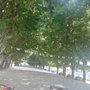 Photo of Paseo del Espolon