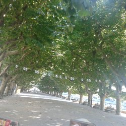 Paseo del Espolon - En medio del paseo