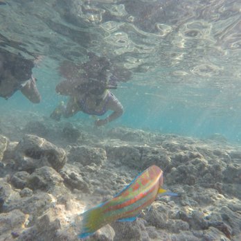 Pure Aloha Adventures - Snorkeling with my daughter in Hanauma Bay March 13th 2017 - Tours Near Me - Honolulu, Hawaii
