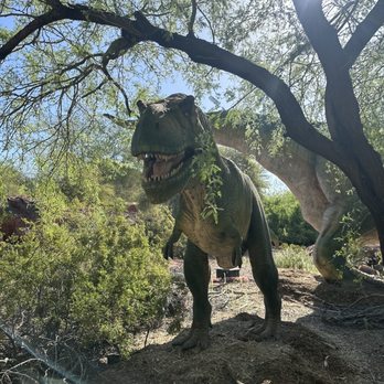 Phoenix Zoo - T-Rex - Zoos Near Me - Phoenix, Arizona Phoenix Zoo - T-Rex - Zoos Near Me - Phoenix, Arizona