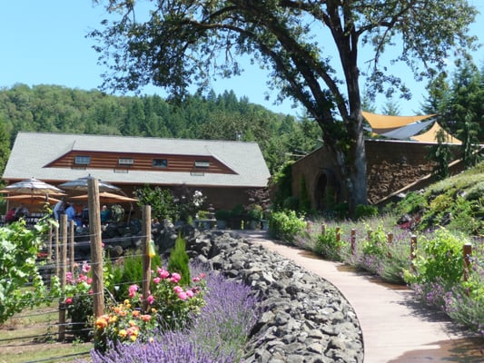 Reustle-Prayer Rock Vineyards by null