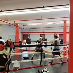 Boxingology - Another day at the office at Boxingology !!!