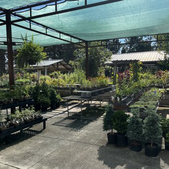 Mulberry Creek Winery - Wineries Near Me - Huron, Ohio
