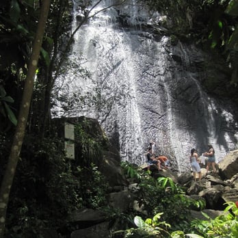 El Yunque Rainforest - La Coca Falls - Hiking Near Me - Luquillo, Puerto Rico El Yunque Rainforest - La Coca Falls - Hiking Near Me - Luquillo, Puerto Rico