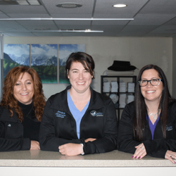 Sheldon Chiropractic & Wellness - Dr. Sheldon's friendly staff