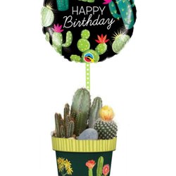 Belladonna Florist & Flower Delivery - Things could get sticky if you miss a birthday! Let us Help build the perfect gift!