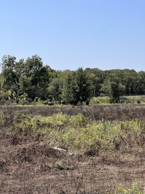 Fort Worth Nature Center & Refuge by null