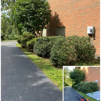 Majestic Frontiers - Tree Trimming, Shrub / Bush Trimming - Landscaping Near Me Majestic Frontiers - Tree Trimming, Shrub / Bush Trimming - Landscaping Near Me