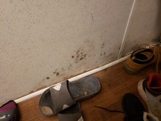 Roberts Handyman & Contracting