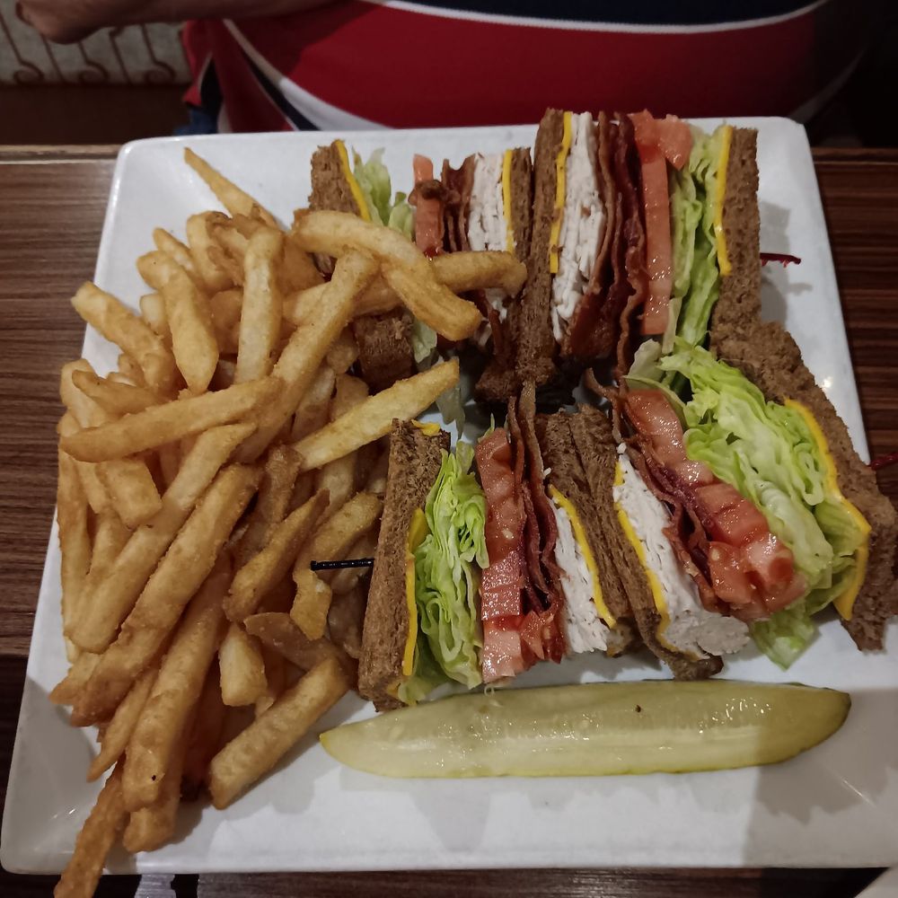 The Diner at Webb Gin - Turkey club with fries - Diners Near Me - Snellville, Georgia