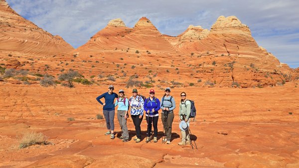 Dreamland Safari Tours by null