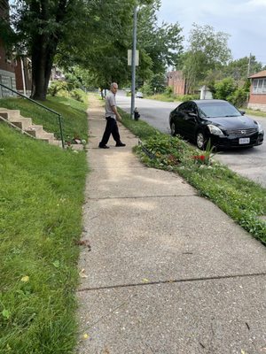 Taste of Persia by null