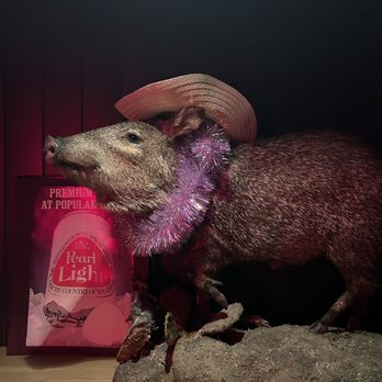 RODEO BAR - Updated December 2024 - 126 Photos & 98 Reviews - 1321 ...