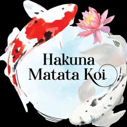 Hakuna Matata Koi