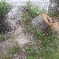 JBS Tree Experts - Uprooted stump