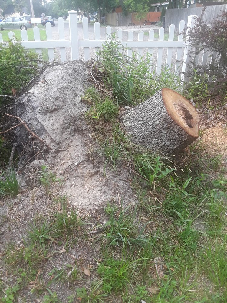 JBS TREE EXPERTS Updated October 2024 16 Reviews Toms River, New