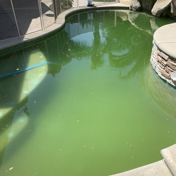 SC Pool Services - Green pool - Pool Cleaners Near Me