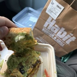 Sandwich Sandwich
