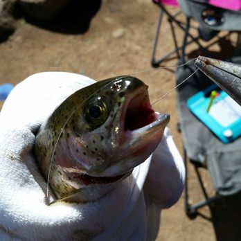 Mirror Lake Scenic Byway - Fish Jason caught twice in a row. He had a fly in his mouth, so he had been caught 3 times total. - Hiking Near Me - Kamas, Utah