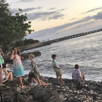 Honu Oceanside - Kids watching the turtles as adults relaxed and finished eating & drinking. - Seafood Near Me - Lahaina, Hawaii Honu Oceanside - Kids watching the turtles as adults relaxed and finished eating & drinking. - Seafood Near Me - Lahaina, Hawaii