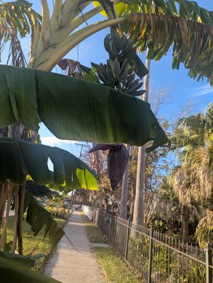 Pat's Rest Awhile by null