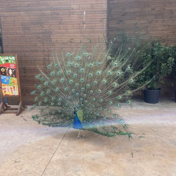 Zoo de Barcelona - Zoos Near Me - Barcelona, B Zoo de Barcelona - Zoos Near Me - Barcelona, B