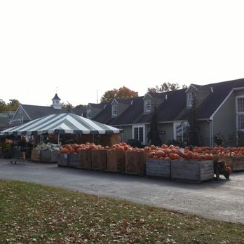 Delicious Orchards - Outside during the fall - Fruits & Veggies Near Me - Colts Neck, New Jersey
