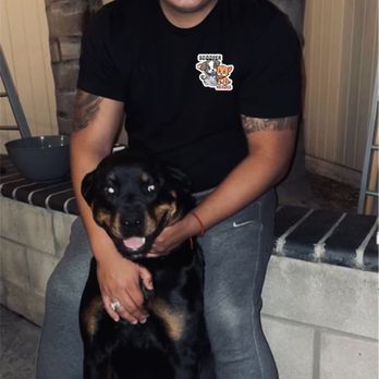 Scooper Heroes - Pet Waste Removal Near Me Scooper Heroes - Pet Waste Removal Near Me