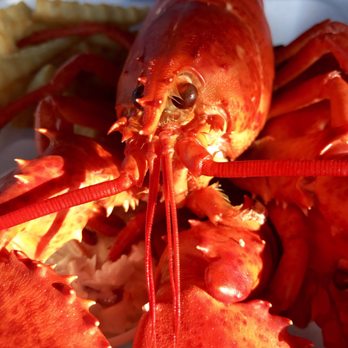 Ray's Seafood & Lobster - Seafood Near Me - Rye, New Hampshire