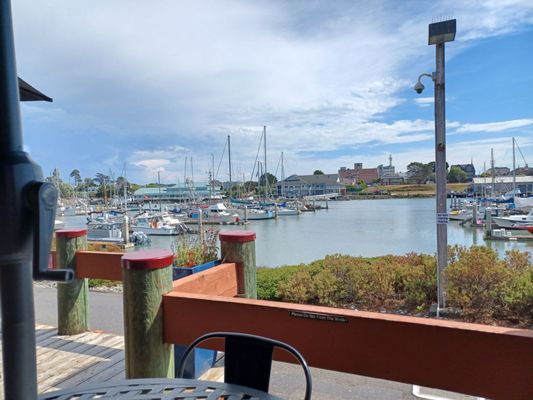 Café Marina & Woodley's Bar by null