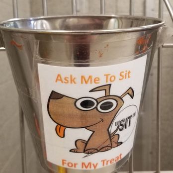 SICSA Animal Adoption Center - Fun. - Animal Shelters Near Me - Dayton, Ohio