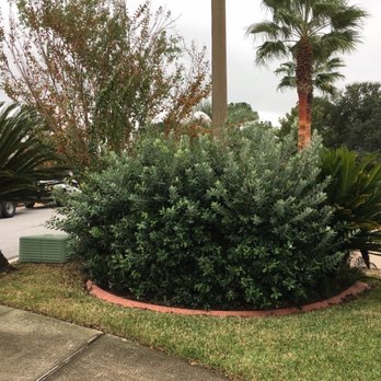 Banfield's Landscaping and Lawn care - Landscaping Near Me - Pace, Florida
