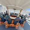 Paradise Pier Fun Park gift card
