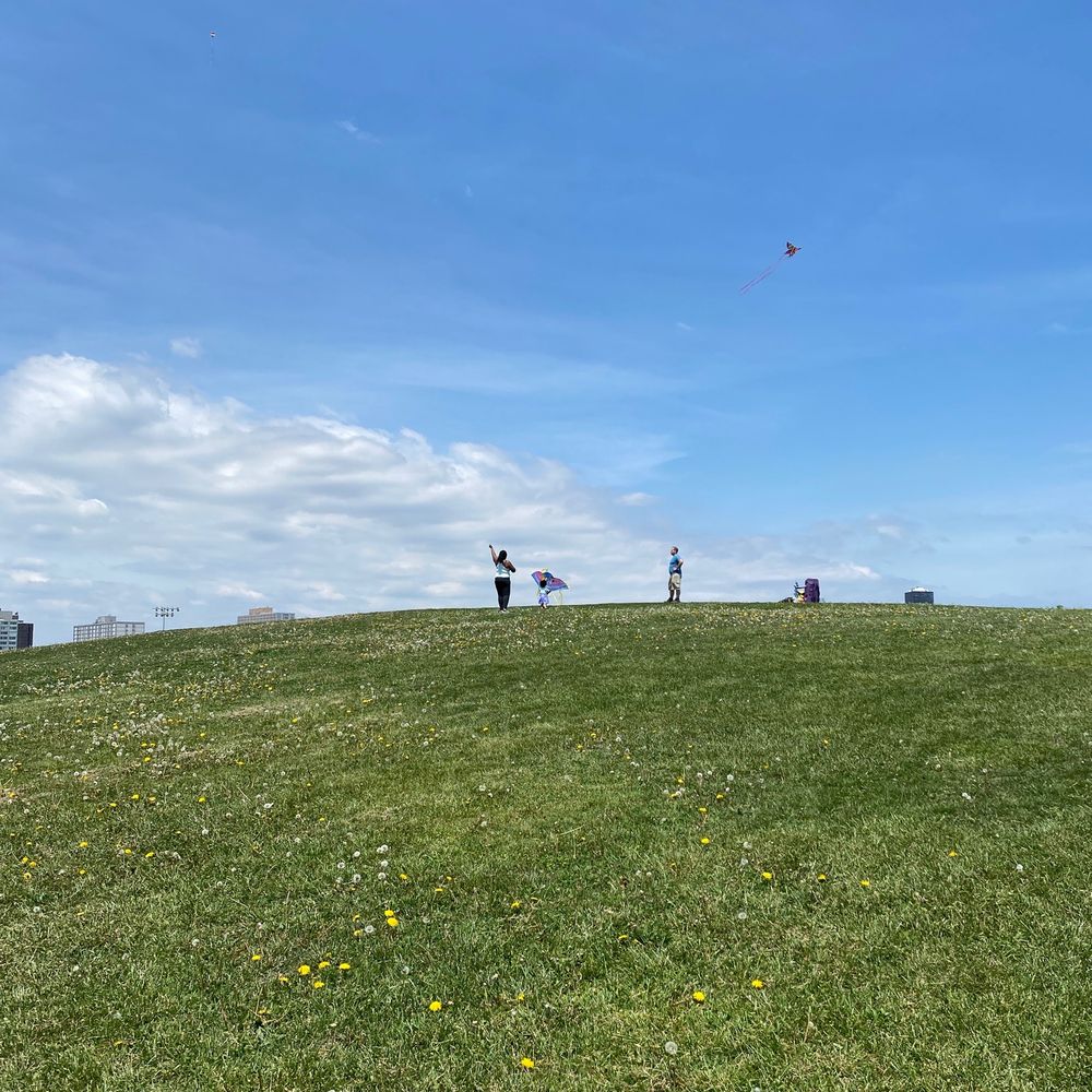 Cricket Hill - Parks Near Me - Chicago, Illinois Cricket Hill - Parks Near Me - Chicago, Illinois