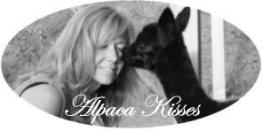 A Simpler Time Alpaca Farm And Mill - A Simpler Time Alpaca Farm And Mill A Simpler Time Alpaca Farm And Mill - A Simpler Time Alpaca Farm And Mill