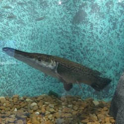 Booker Fowler Fish Hatchery