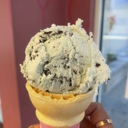 Baskin Robbins - Mint Chocolate Chip in cake cone