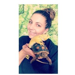 Two By Two Zoo - Jess with Milo the Bearded Dragon & Dexter the Red Footed Tortoise