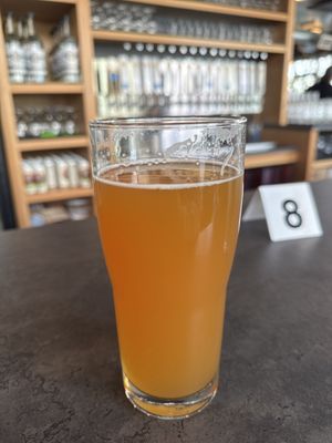Jellyfish Brewing Company - Green Lake by null