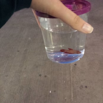 PetSmart Doggie Day Camp - Got myself a fish :) - Pet Stores Near Me - Gloucester, Ontario PetSmart Doggie Day Camp - Got myself a fish :) - Pet Stores Near Me - Gloucester, Ontario