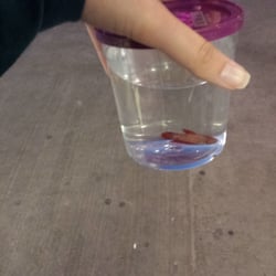 PetSmart Doggie Day Camp - Got myself a fish :)