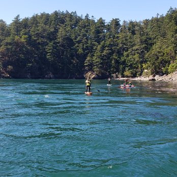 Deception Pass Tours - Views of Deception Pass Bridge and area. - Whale Watching Tours Near Me - Anacortes, Washington Deception Pass Tours - Views of Deception Pass Bridge and area. - Whale Watching Tours Near Me - Anacortes, Washington