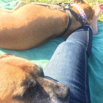 Fort Mason - Dog on leash friendly - Landmarks & Historical Buildings Near Me - San Francisco, California