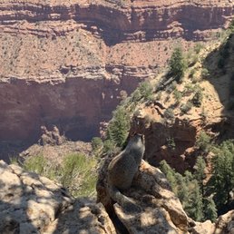 Grand Canyon Grand Canyon