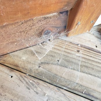 Cabins USA - Cobwebs everywhere! - Vacation Rentals Near Me - Sevierville, Tennessee Cabins USA - Cobwebs everywhere! - Vacation Rentals Near Me - Sevierville, Tennessee