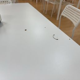 Dirty tables not cleaned. Dirty tables not cleaned.