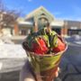 Photo of Arctic Delights