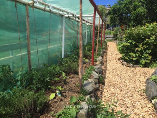 Burghotel Bären by null