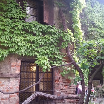 Centro dell'Incisione - Tree in the courtyard has covered the building in leaves - Art Galleries Near Me - Milan, Michigan
