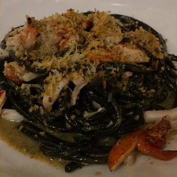 Lark - Squid Ink Chitarra - New American Near Me - Bala Cynwyd, Pennsylvania
